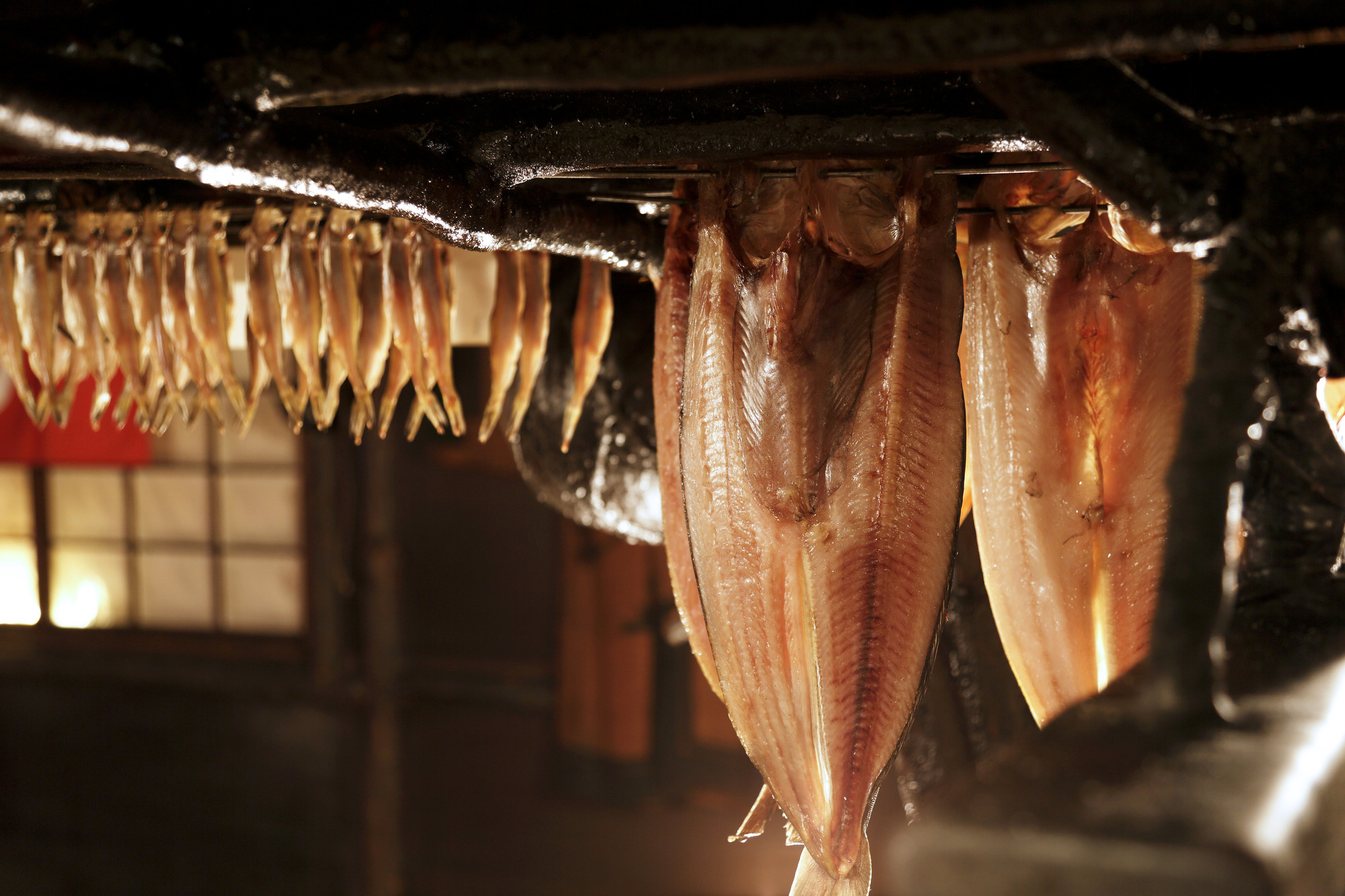 北海道　札幌　炉ばた焼ウタリ　WBFクーポン　料理3